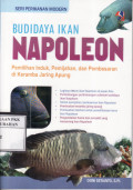 Budidaya Ikan Napoleon