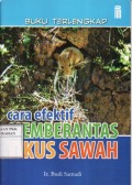 Cara Efektif Memberantas Tikus Sawah