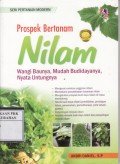 Prospek Bertanam Nilam : Wangi Baunya, Mudah Budidayanya, Nyata Untungnya