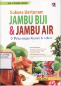 Sukses Bertanam JAMBU BIJI & JAMBU AIR Di Pekarangan Rumah & Kebun
