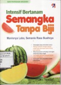 Intensif Bertanam Semangka Tanpa Biji