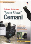 Sukses Beternak  Ayam Ritual Cemani