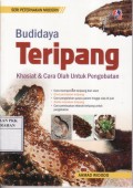 Budidaya Teripang : Khasiat & Cara Olah untuk Pengobatan
