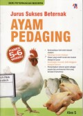 Jurus Sukses  Beternak AYAM PEDAGING