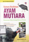Sukses Budidaya Ayam Mutiara : Menjemput Kilau Untung Ratusan Persen