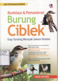 Budidaya & Pemasteran Burung Ciblek: Siap Tanding Menjadi Jawara Kontes